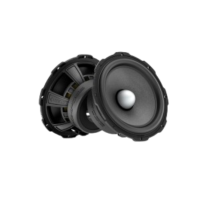 Midbass